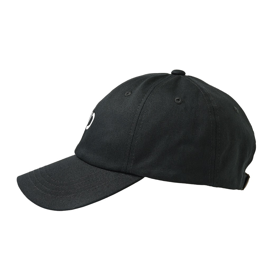 AP Logo Cap Black – ARTIST PROOF